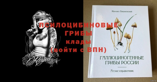 героин Алексин