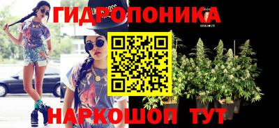 амф Коммунар