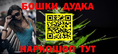 индика Конаково