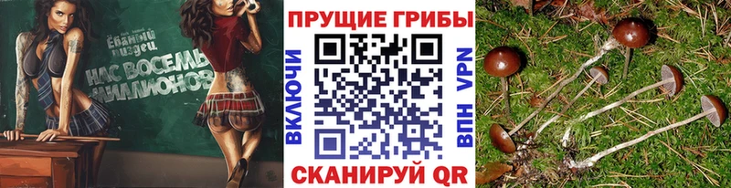 Псилоцибиновые грибы Magic Shrooms  где купить наркотик  Котовск 