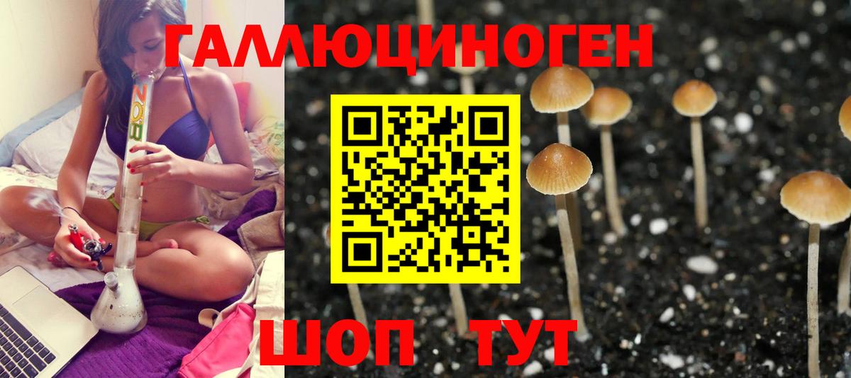 Галлюциногенные грибы ЛСД Котовск