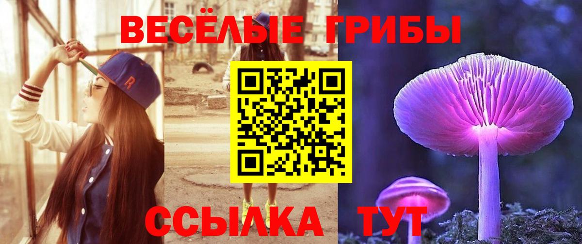 Котовск  цена наркотик  Вход с VPN  Галлюциногенные грибы прущие грибы 