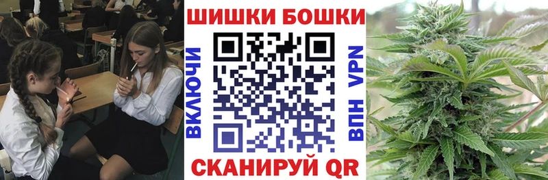 Бошки Шишки марихуана  MEGA маркетплейс  Котовск 